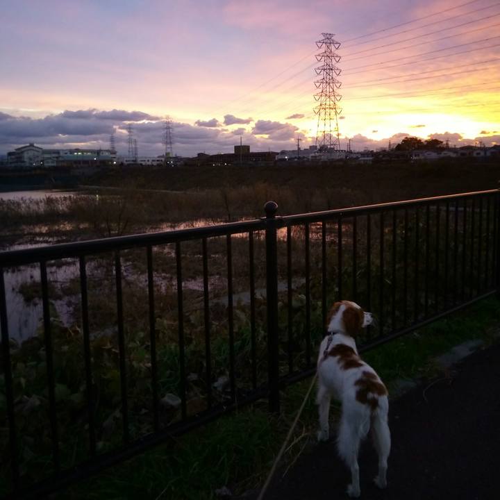 819c7891 62f1 410a b0b7 3e14e9ac3f9c 1513067158478