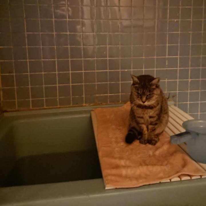 819cb98b 44df 4a57 888d 744b3e6f24ae 1573810080622