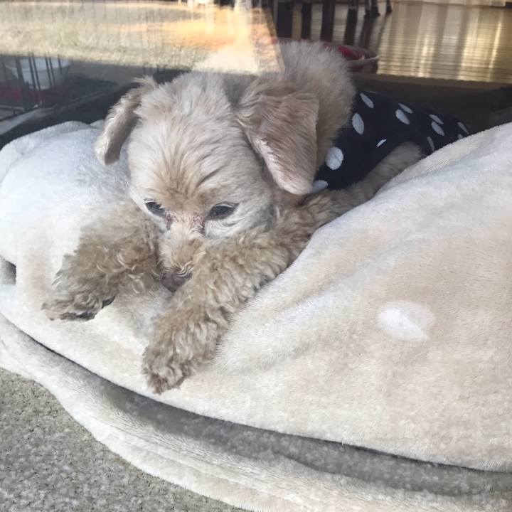 819cc2ba e075 48ed bdc1 c51e2c76fde9 1549587449389