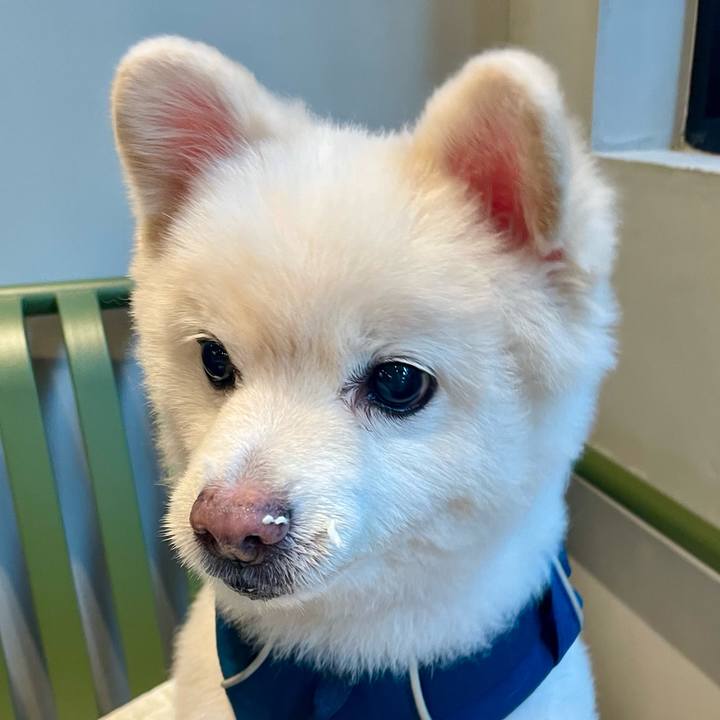 819cd627 efc2 4c28 b3aa 64a64a5d067b 1757849725140