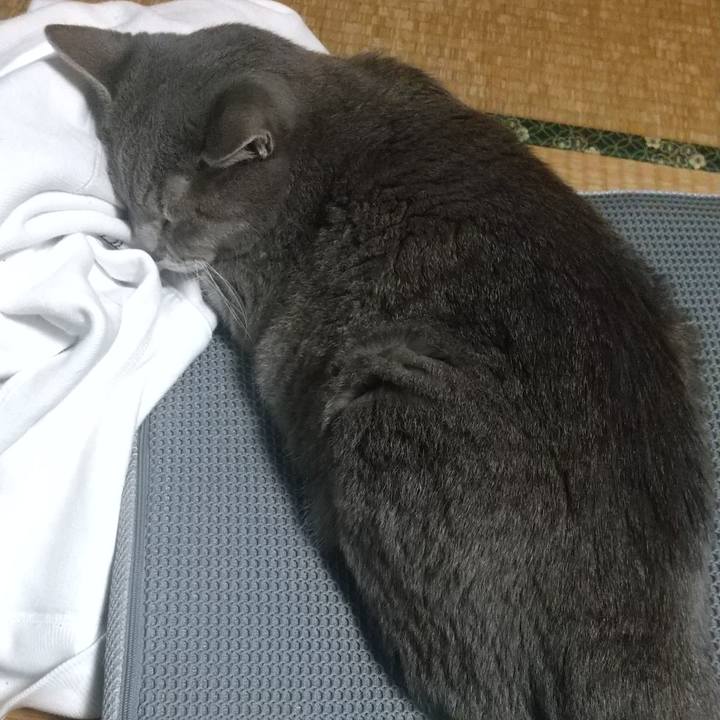 819cfbbc 89cb 41f5 b01b 1f6cbac7a223 1666435973823