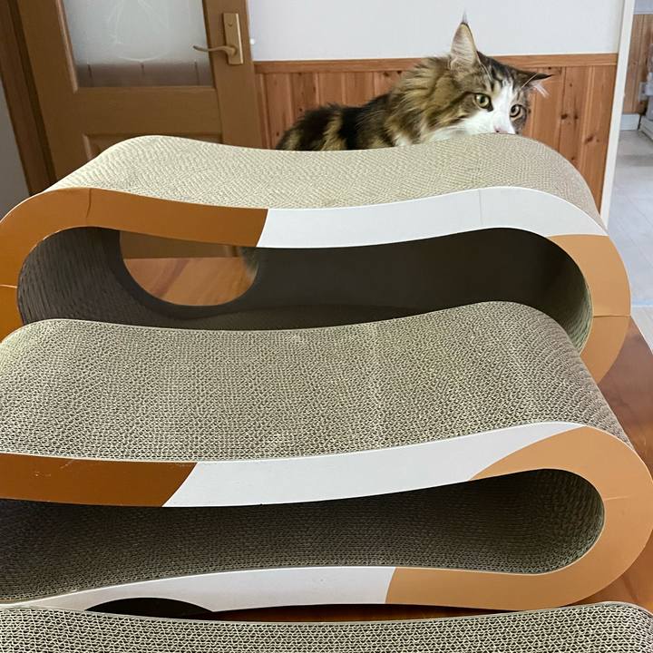 819d3f53 1d23 4a5b 98f5 55b67ed4ddcc 1655460589865