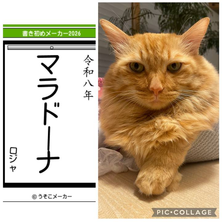 819d51b2 59eb 4188 a255 efeddf146717 1767666806704