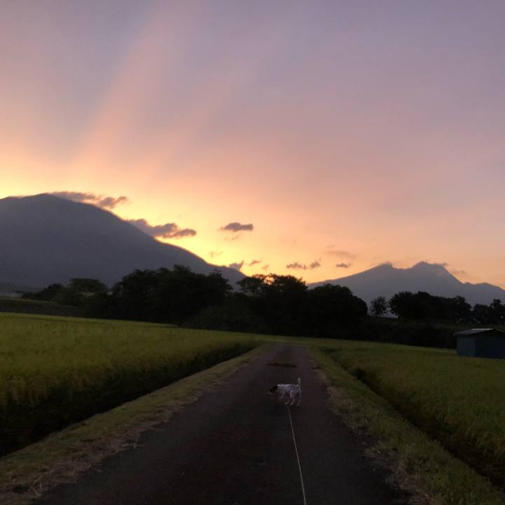 819d5b3b b2b0 40f0 98c6 f12fb091df9b 1567938853605