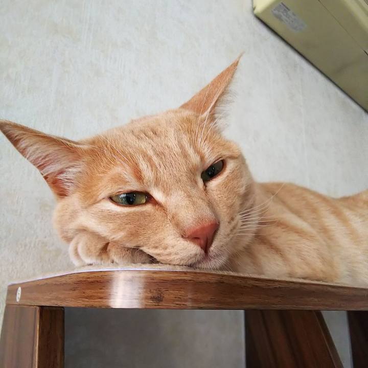 819d663b 6f11 4da1 8728 9fef640a6f08 1585986214763