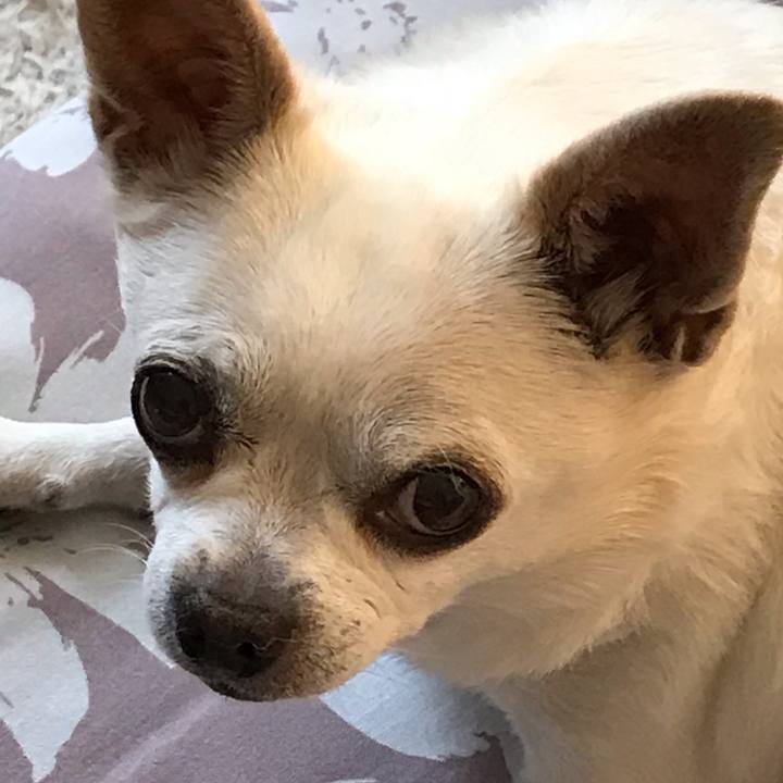 819d777e f65b 4418 a821 887f6bb3ddd4 1602421709711