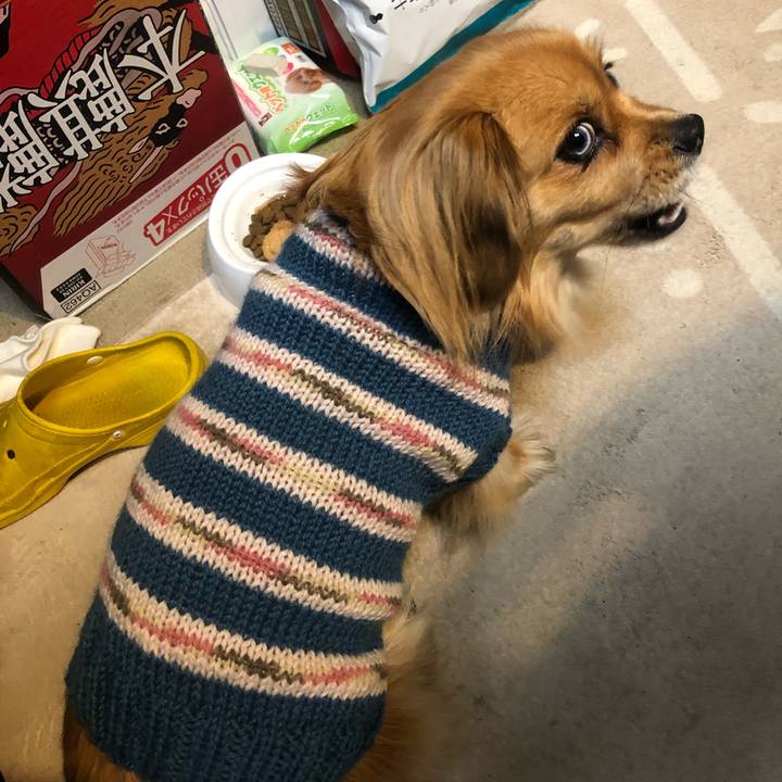 819dea17 04e8 451f 9a0a a9d111719049 1547591320295