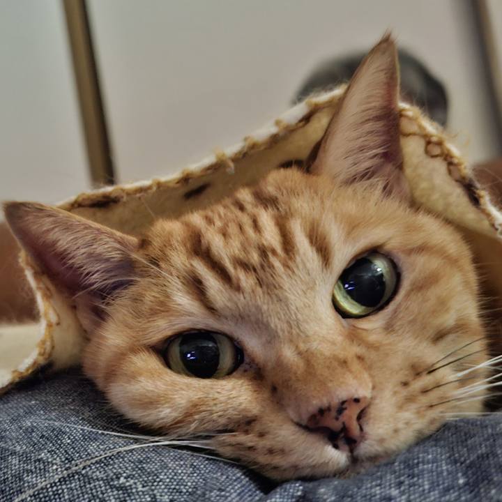 819e1a58 d281 4da6 b341 d9b7be1f1be9 1757777356402