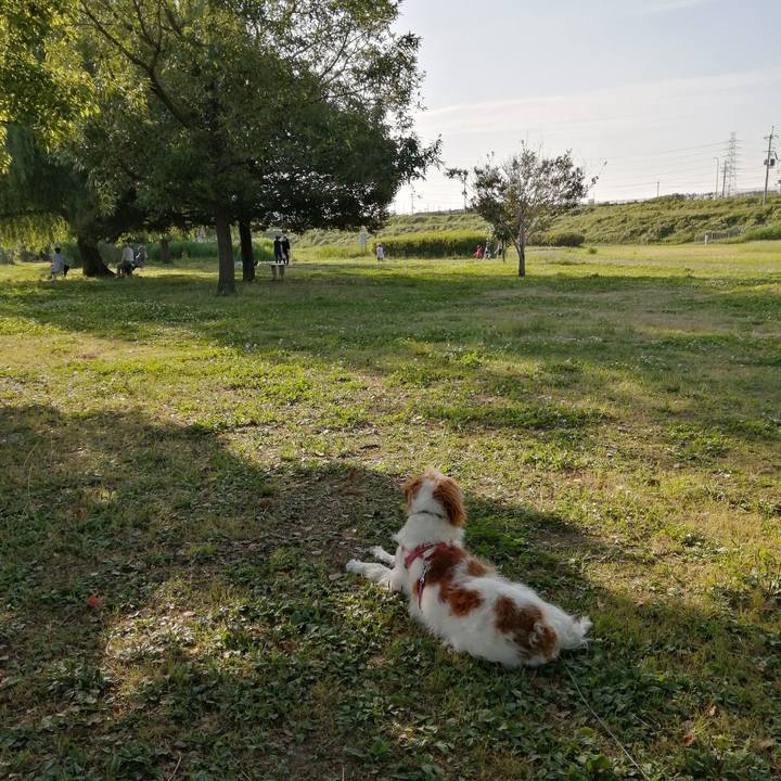 819e226f 0f2c 440b beac 6a2432aa2d18 1591096613685