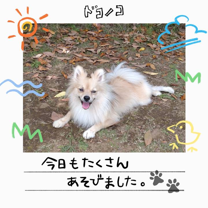 819e27a3 14cc 4414 b1d7 f23148dbf373 1755130828417