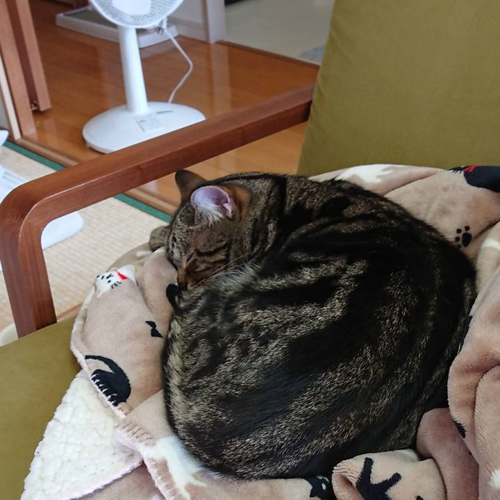 819e3f87 ddfb 49a0 b7d6 d05654bfe465 1547346803319