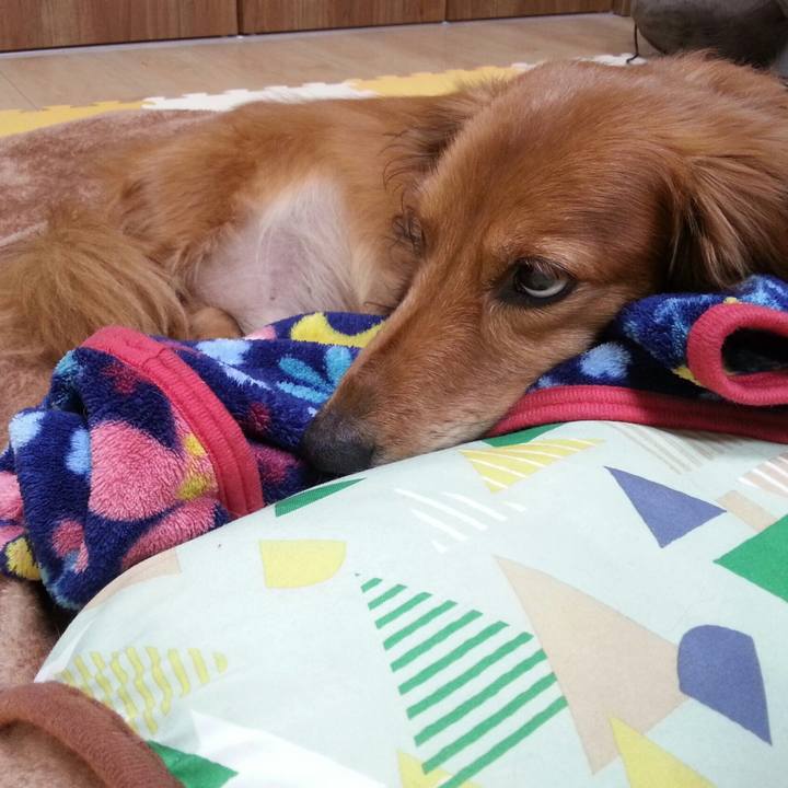 819e4a69 bc0c 4247 b157 3d90eabbac5f 1548666713123