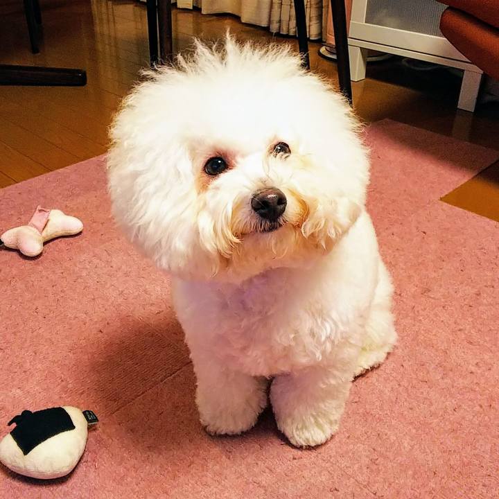 819e5aec 3494 4f2c 8579 0afbe021f846 1542719424933