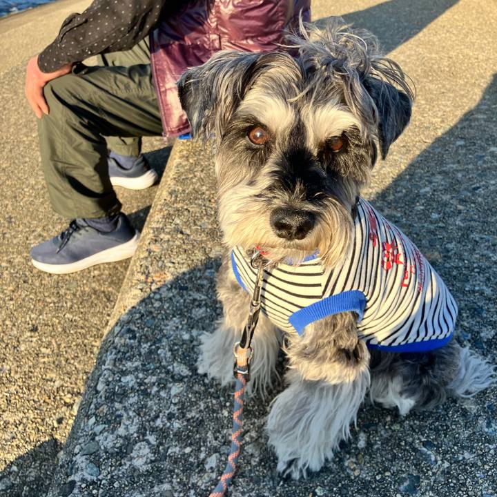 819e84ce c4a1 442b b33b 4d359bf3f71e 1772029139278