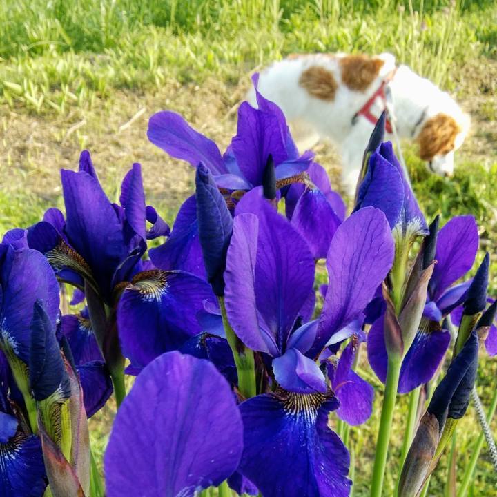 819e8d81 0d88 4d56 bf94 7750b9042102 1556795934841