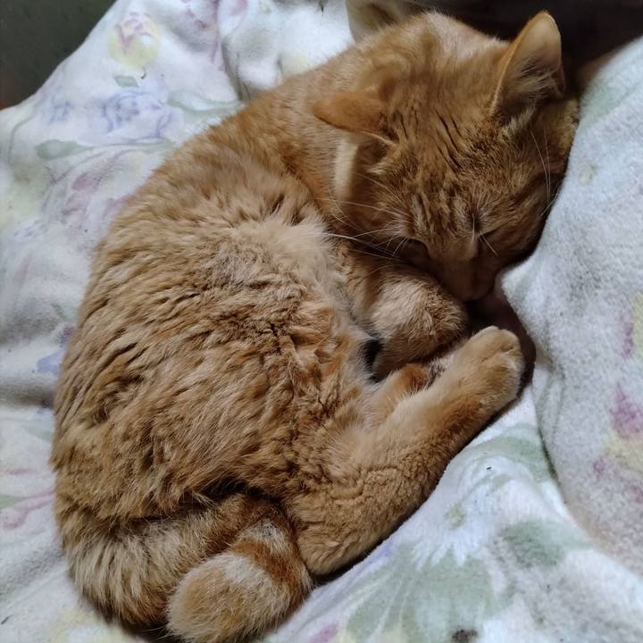 819ea386 e497 4562 8050 cef675a66539 1672576821598