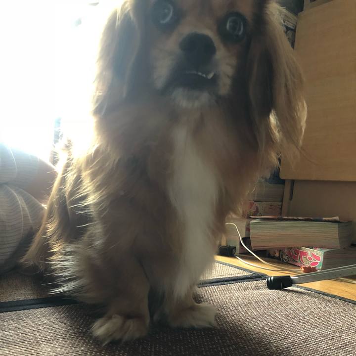 819f24c3 4aad 48ac 97eb 15b20d8c9e24 1535151105814