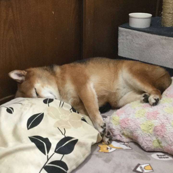 819f400c 0bad 4aa8 af79 f4e1e9202aad 1601774354764