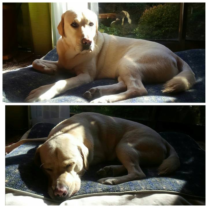 819f481d 7a1f 44eb 9b4d 8a8fb994b4d6 1510803757849