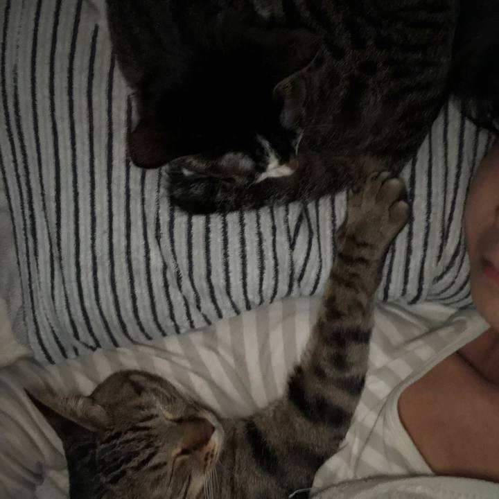 819f7f52 468b 4111 b1a2 a5511529eca0 1548709185108