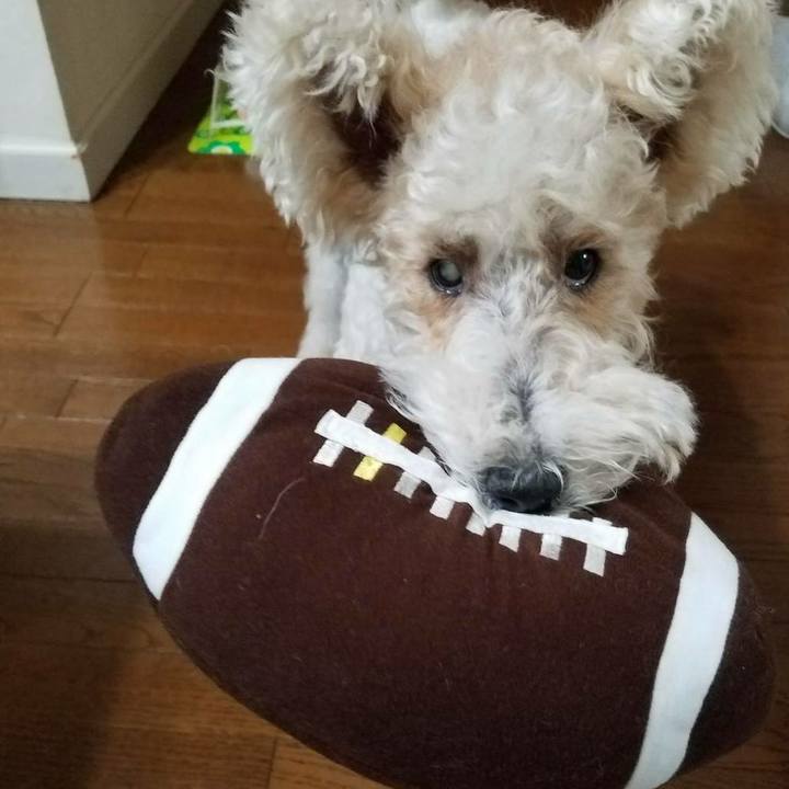 819fb849 972d 4d21 a0d2 66adba11d732 1521643817423