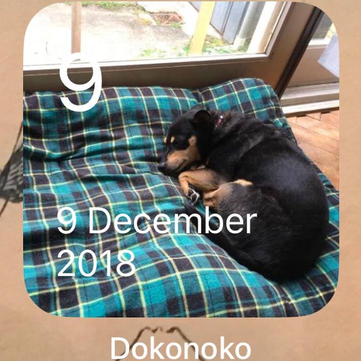 819fe3c0 a04d 4ce9 b1ce 1db2b96200d1 1765236646797