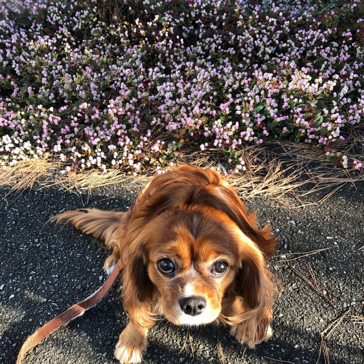 819fe73f f2e0 448d 926e b8f54482ca8f 1635941975286