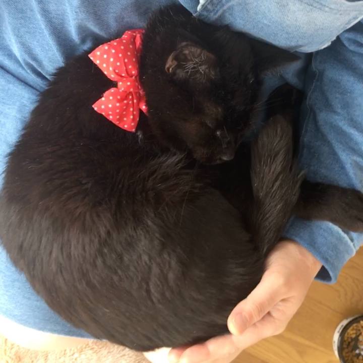 81a0016d b106 4bdc 8002 e15ac5d89a56 1549761460169