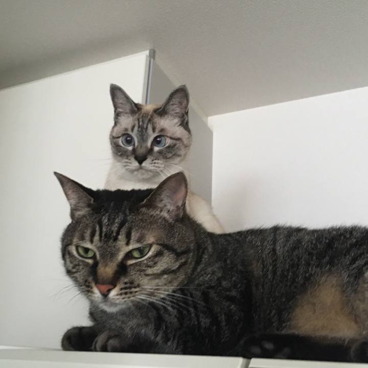 81a02f7e ac20 40f4 af96 d946ccf35ace 1592442629368