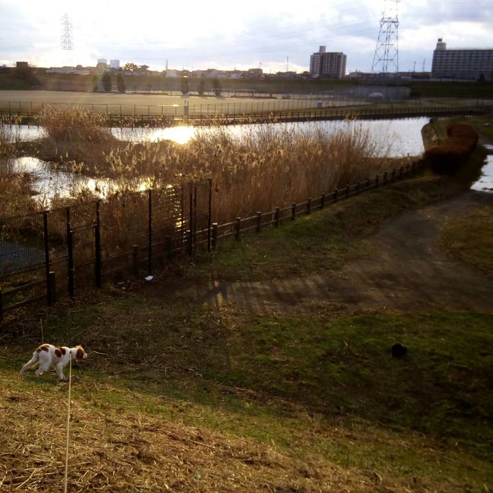 81a049b6 d833 42dc 9a7e 35c7ad64b9b3 1515582719368