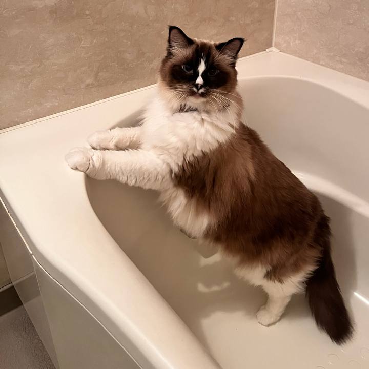 81a04d5a b7c8 4107 92d3 2431afde3993 1670727673743