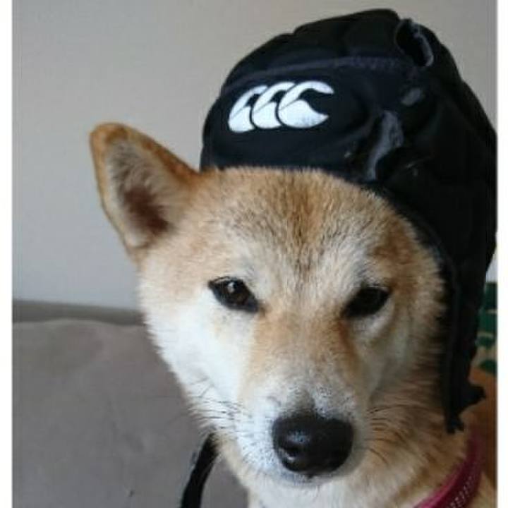 81a06532 abb7 4c2a 826a 191eebb42dbd 1521256160840