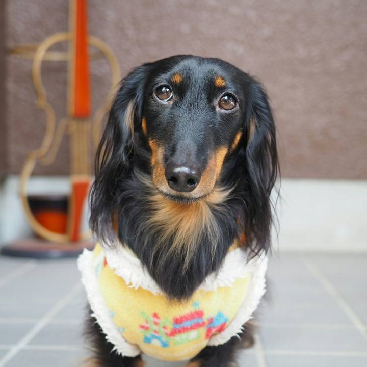 81a10e07 3766 4664 a086 6e527d156498 1518752336321