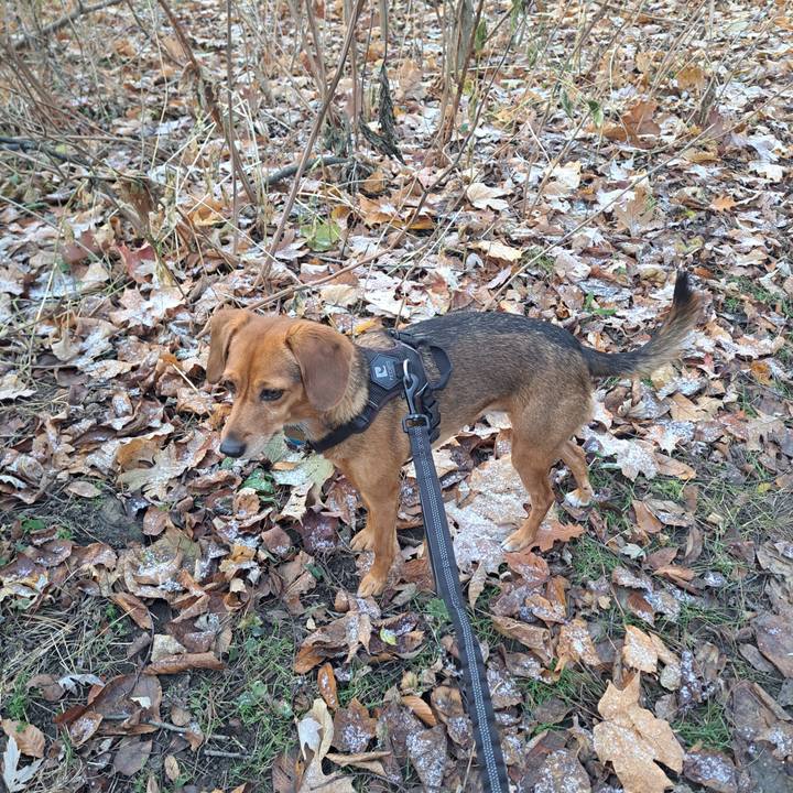 81a10fee e407 4eca 80a9 34051b15a38f 1764338901273