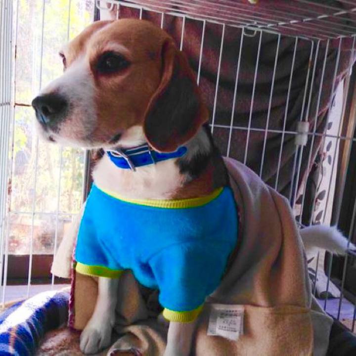 81a15978 b41e 4f50 bef5 cbc626a7d8f5 1736122939604