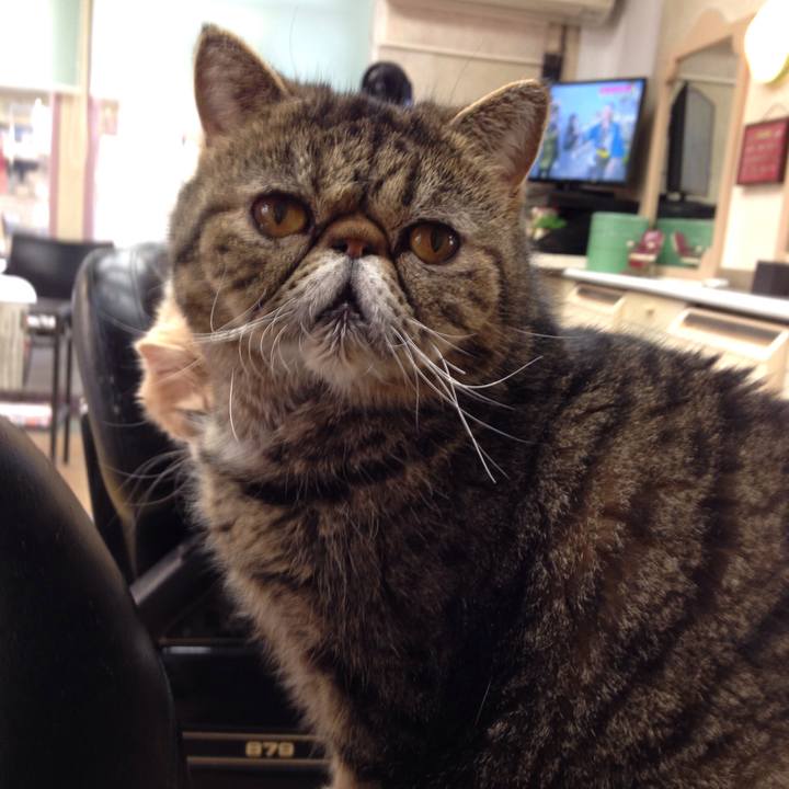 81a17134 9824 44eb 8780 9938c356d897 1508630833272