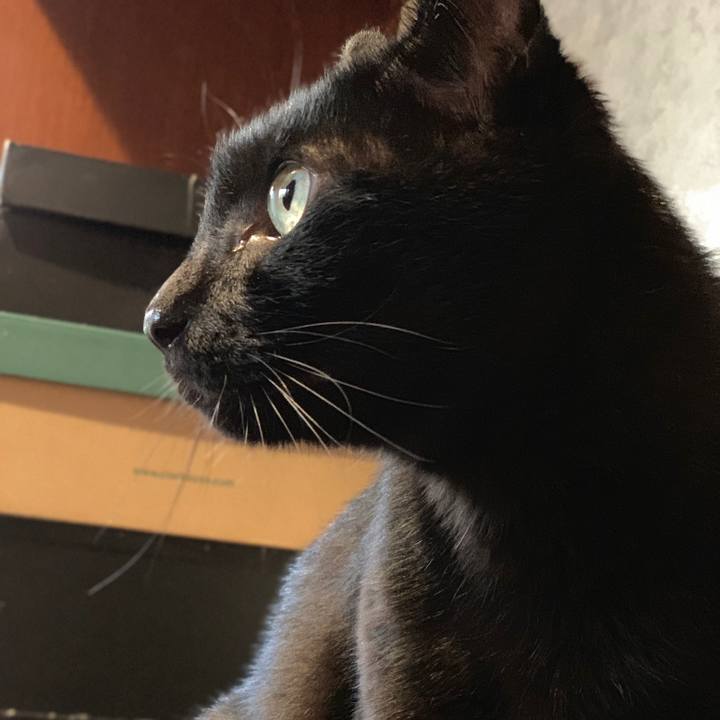 81a192c9 d06b 44ad aee4 8ca77c1249eb 1564101423000