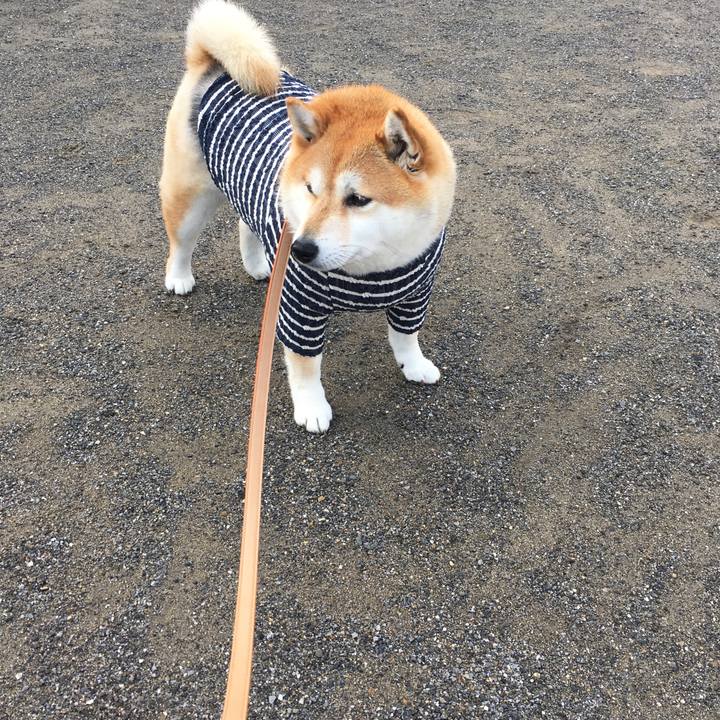 81a199df 181b 469b b231 e4a5e39226fa 1576022972834