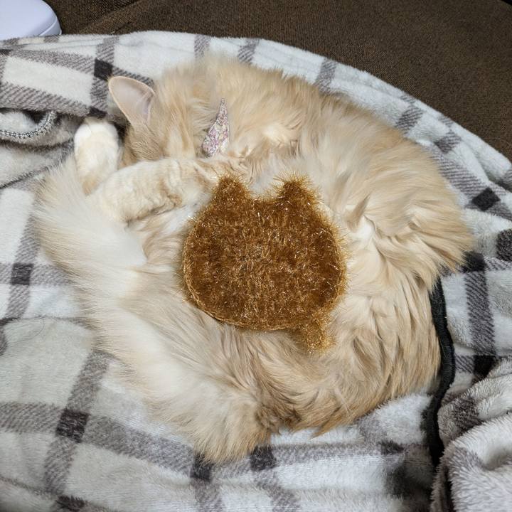 81a1b357 1cf3 4165 bf0f 2cc29661dc84 1769094128141