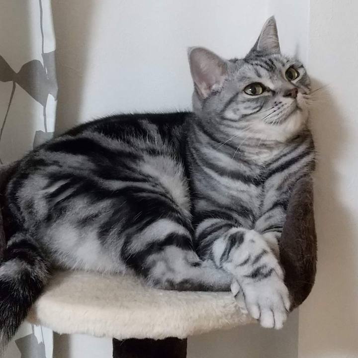 81a1f05b 49fd 4c99 b433 db53bb9dd35c 1672829681403