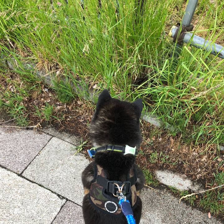 81a20504 fe17 4954 b15d ce3c1e7c6f40 1559726694974