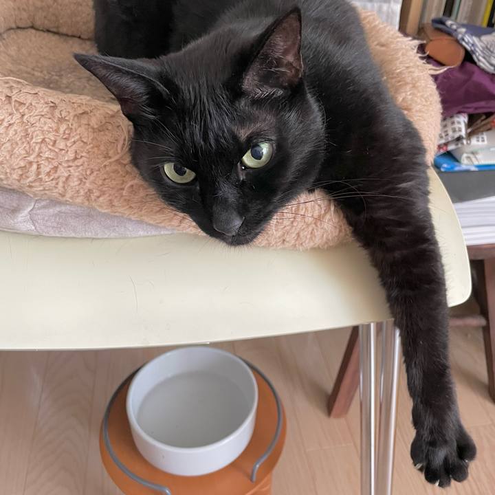 81a2216b f092 4746 8564 878e54c7c7ab 1683247978523