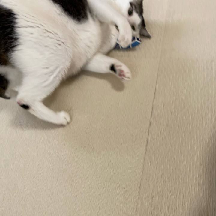 81a23037 8222 48b2 b770 88df2dd0deef 1766636186048