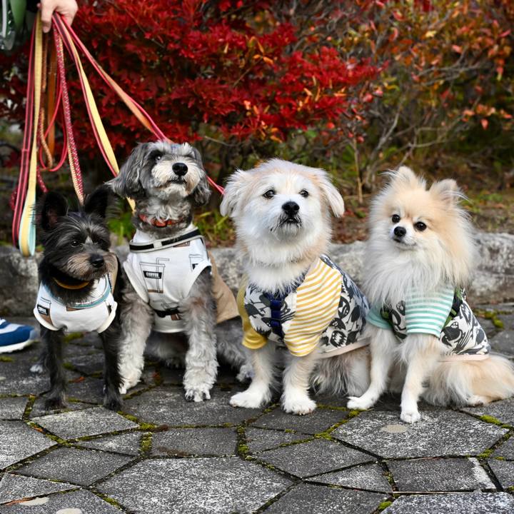 81a2365c 5a86 4a0d abc6 d0451823acc3 1761392924066