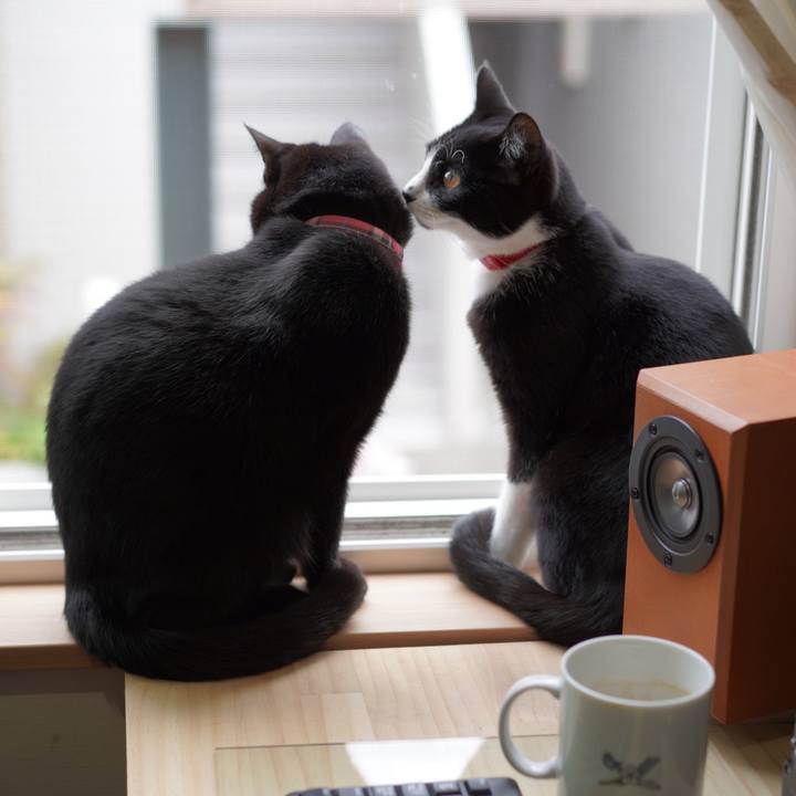 81a23e8a b7fc 4c31 a2c9 99ea91219eb5 1618285293883