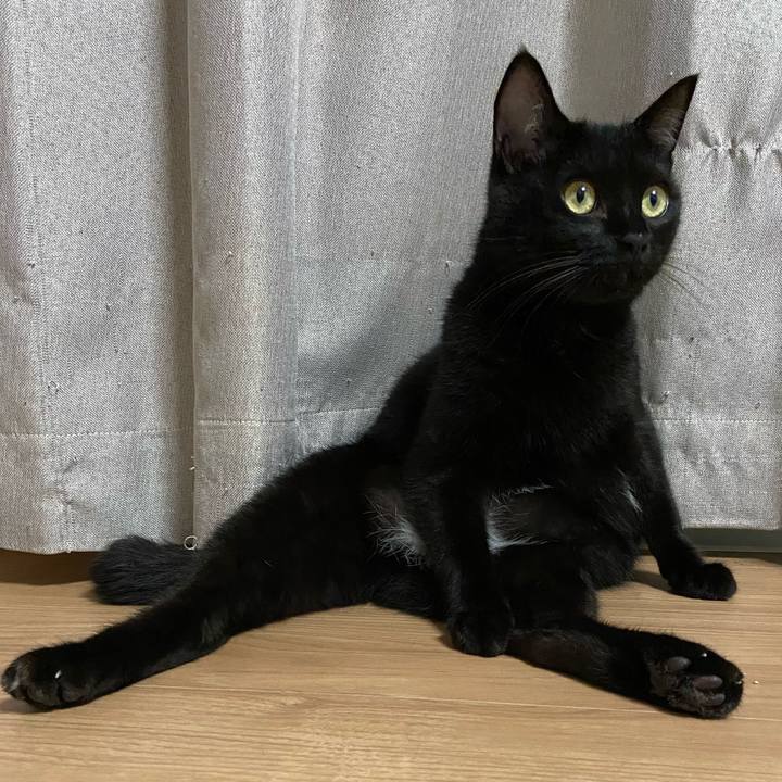 81a23faf d307 4a27 ba1f 65565a84b39a 1629370834085