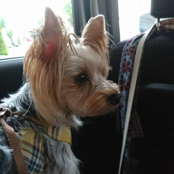 81a2492d ae18 4614 91b9 4cca82fd6549 1539219937967