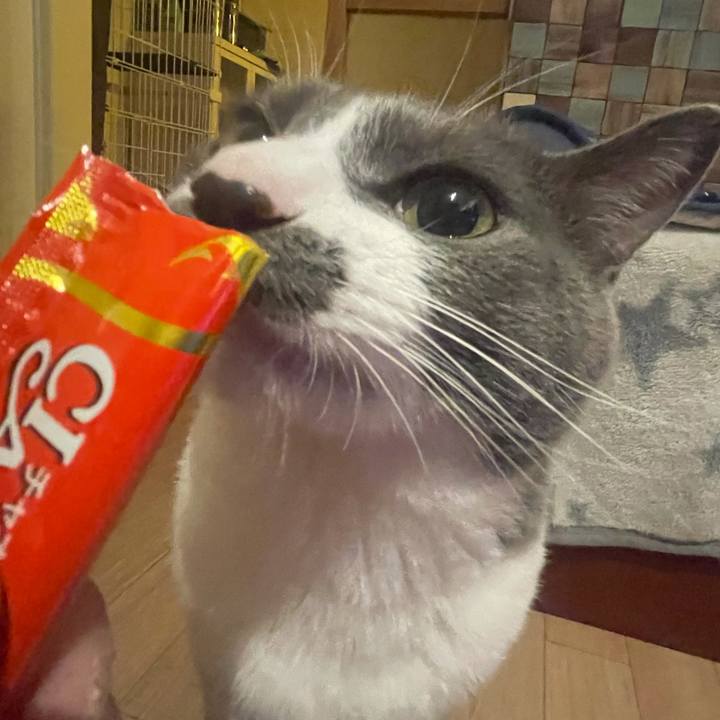 81a252d8 bcd5 470c a563 62bf9f48856f 1625233524283