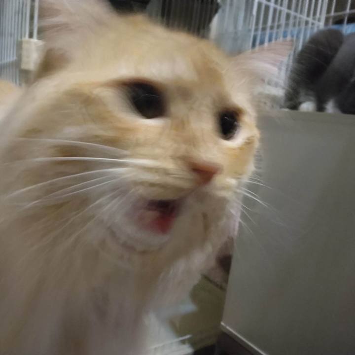 81a26d06 dedb 4db9 9bf0 7fdabc386acb 1681472931766