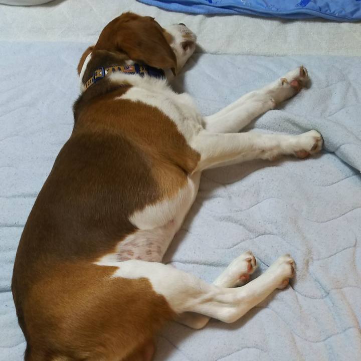 81a2a38f 8f57 4a60 bef8 16fdc07e7d8e 1591888568757